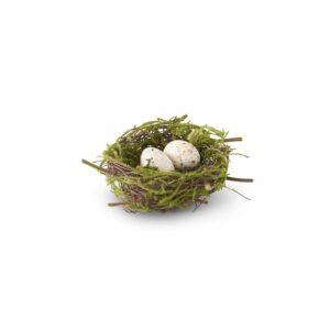 Bird Nest w/2 Eggs