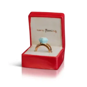 Put a Ring on it (dianmond ring)
