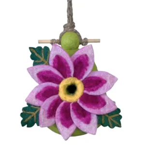 Birdhouse Dahlia Star