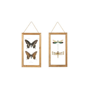 Wood Framed Glass Wall Decor with Insects